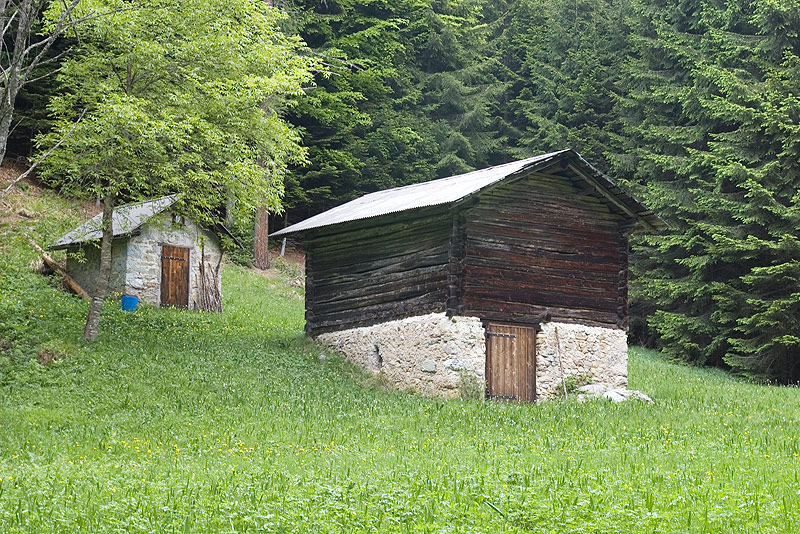 Tabià